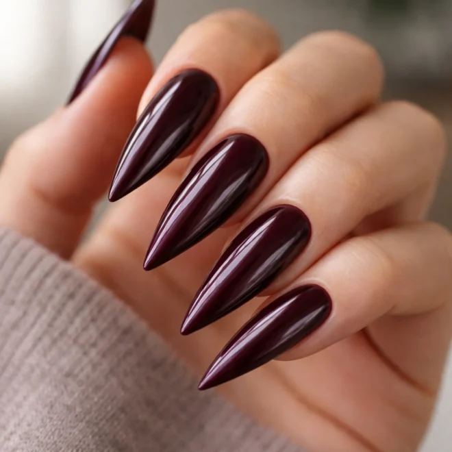 12 Dark Stiletto Nail Ideas