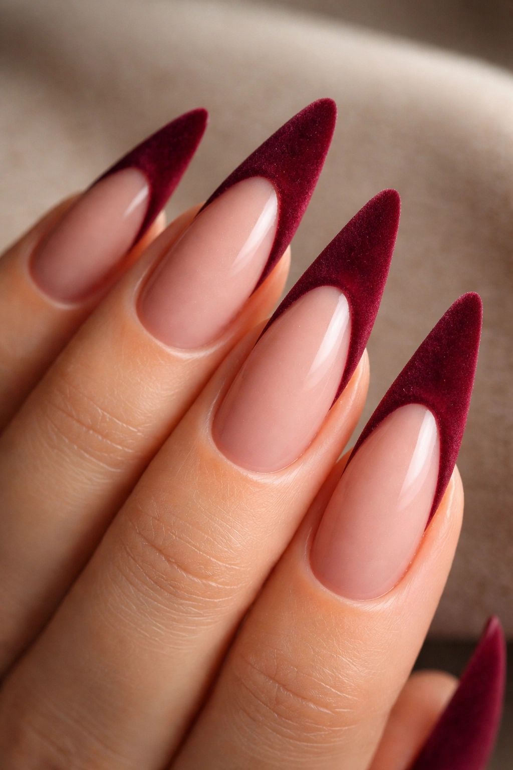Nails with burgundy velvet texture on tips
