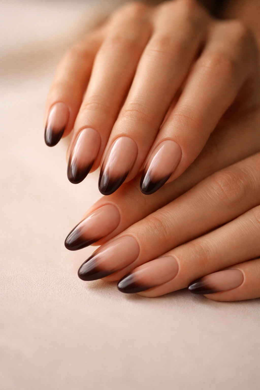 Close-up of espresso-tipped tapered oval nails on a sheer base