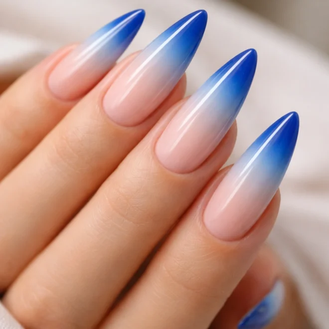 20 Blue French Tip Stiletto Nail Ideas